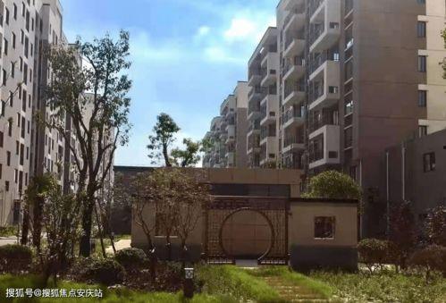 东北最新吃瓜事件详情