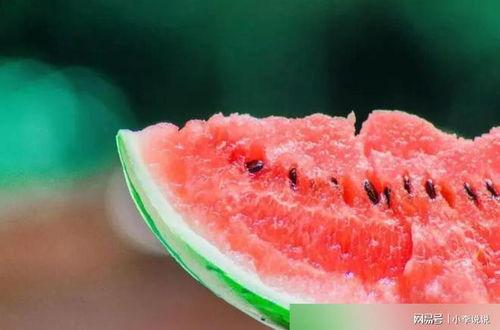 吃瓜吃出细菌视频大全,细菌滋生视频大盘点