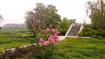 孝妇河公园吃瓜