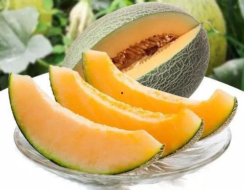 瓜州吃瓜甘肃张掖